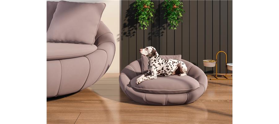 Zafira Pet